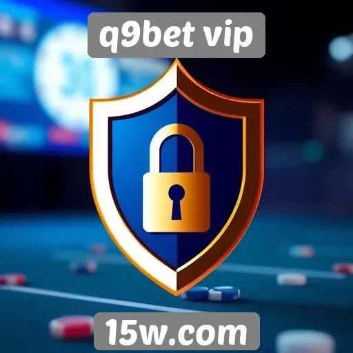 Segurança e privacidade no site q9bet vip